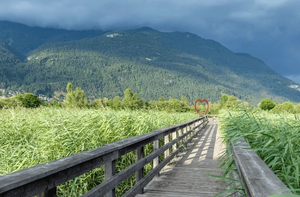 Caring Leadership: A New Year Invitation to Lead with Heart